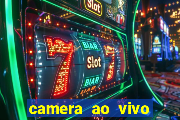 camera ao vivo terminal vila nova cachoeirinha